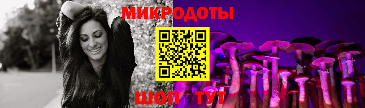 Котовск  Галлюциногенные грибы MAGIC MUSHROOMS  Галлюциногенные грибы Psilocybe  Вход с VPN 